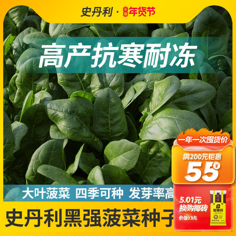 史丹利耐寒菠菜种子冬根菠菜籽越冬趴地菠菜种波菜籽种四季大叶秋,鲜花速递/花卉仿真/绿植园艺,家庭园艺种子,淘宝优惠券,粉丝福利购,淘宝优惠卷