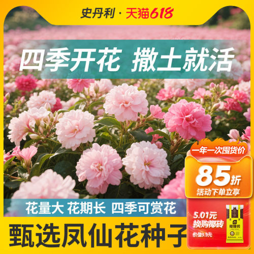史丹利凤仙花种子指甲草花籽