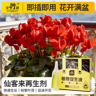 史丹利仙客来专用肥植物再生营养液剂盆栽种植花卉黄叶烂根花肥料
