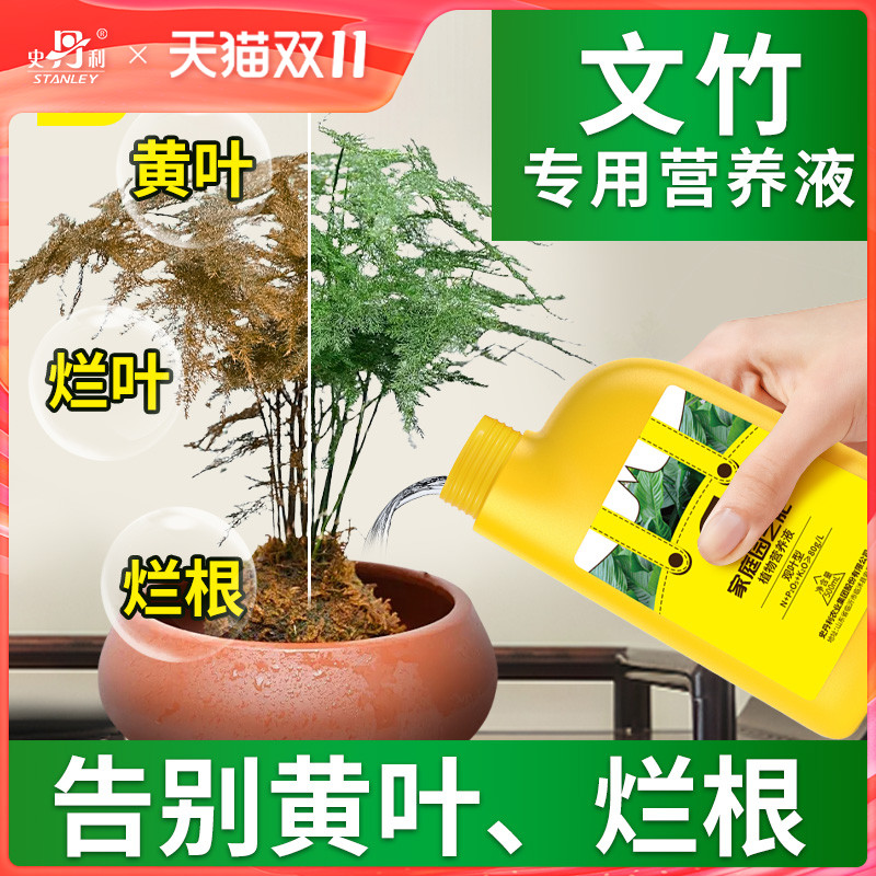 告别文竹黄叶烂叶烂根