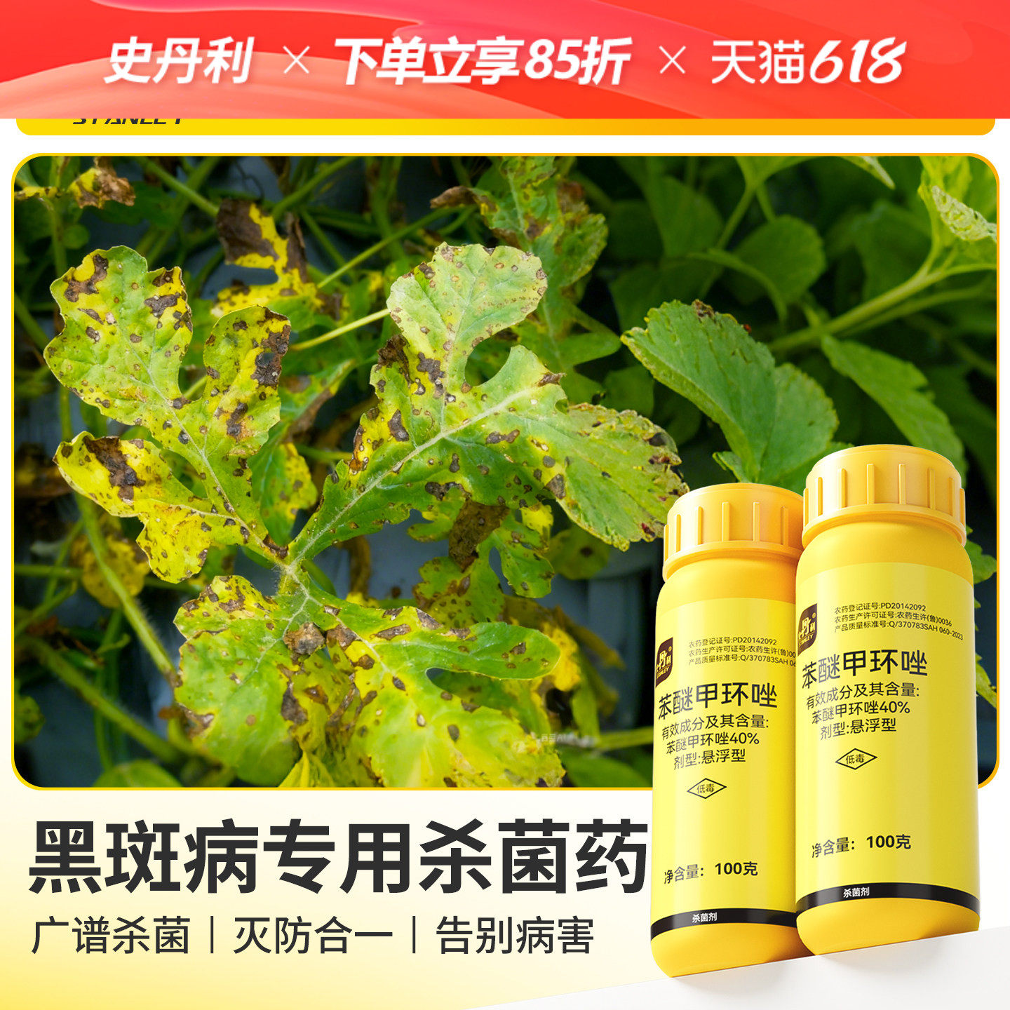 黑斑病专用药|治病不伤花