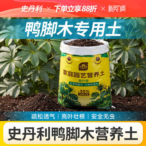 史丹利观叶植物营养土