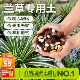 史丹利兰草专用土兰花营养土蝴蝶兰君子兰松树皮盆栽种植兰科通用