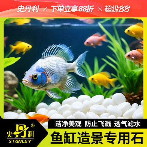 史丹利天然瓷白石鱼缸造景专用