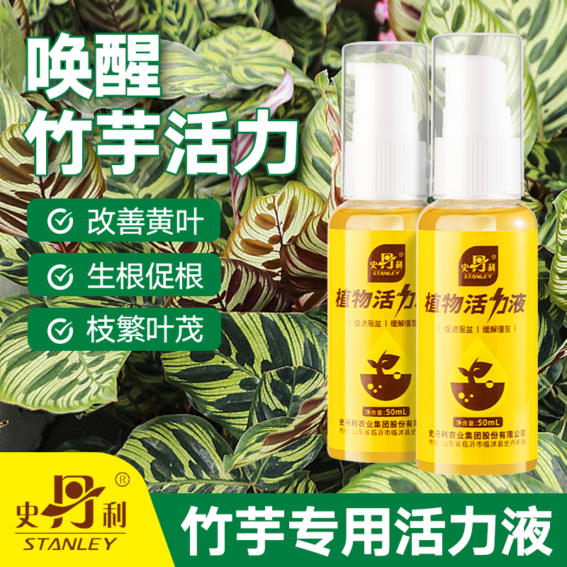 史丹利竹芋植物专用肥料活力素彩叶油画飞羽室内花营养液绿叶花肥