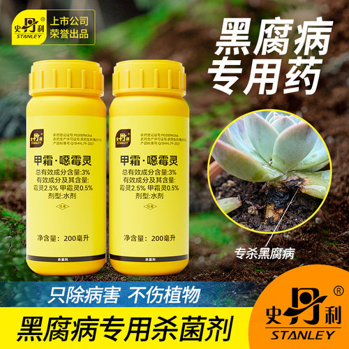 史丹利黑腐病专用|治病不伤花