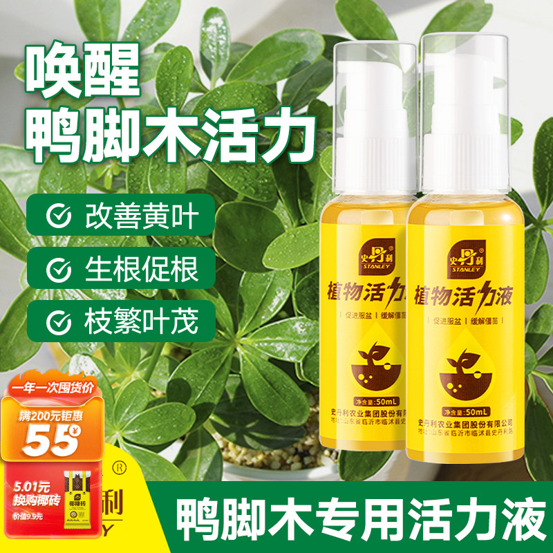 史丹利鸭脚木肥料活力素营养液花肥鸭掌木专用肥绿叶盆栽液体肥料