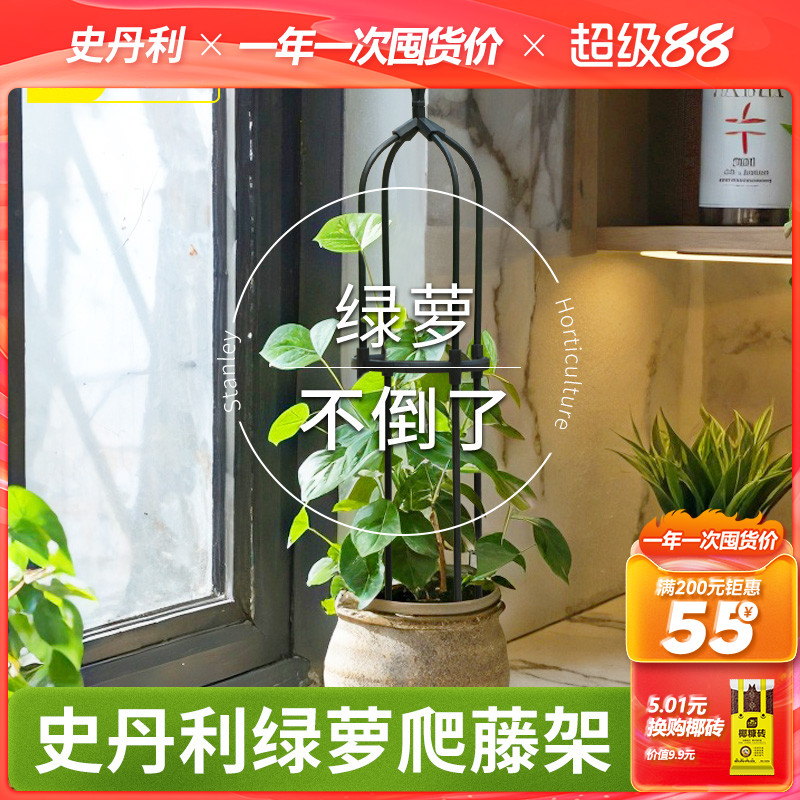 绿萝爬藤架简约百搭款