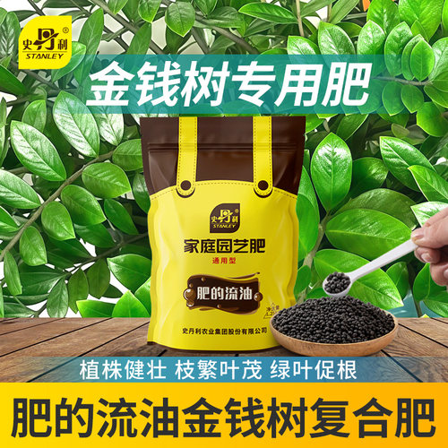 史丹利金钱树专用复合肥叶烂根摇钱树肥钱串子金钱树肥料叶子发黄