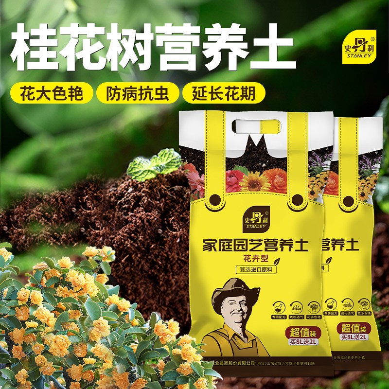 史丹利桂花树开花专用土图片