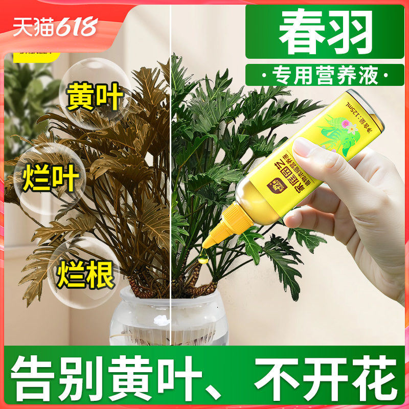 史丹利龙鳞春羽小天使水培专用营养液室内盆栽绿植物氮磷钾花肥料