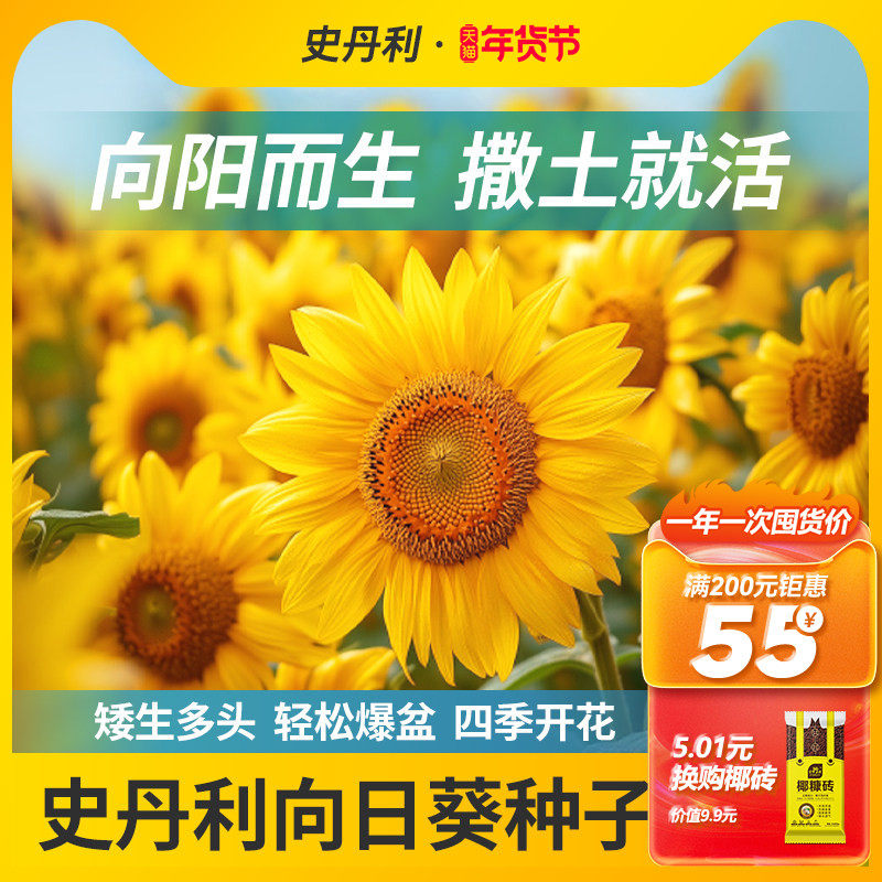 史丹利向日葵种子花种籽葵花观赏四季开花矮生矮杆小瓜子盆栽种植,鲜花速递/花卉仿真/绿植园艺,家庭园艺种子,淘宝优惠券,粉丝福利购,淘宝优惠卷