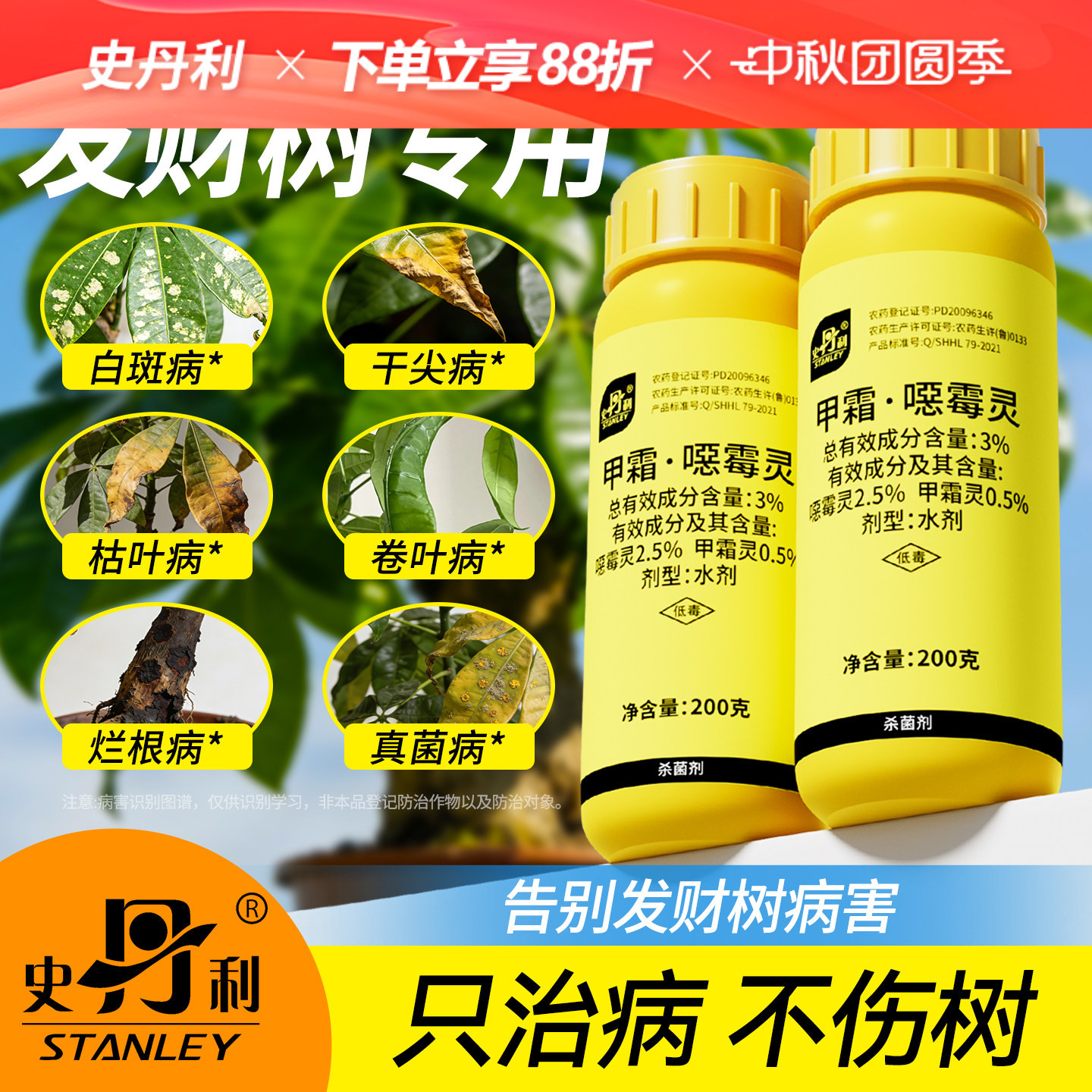 发财树专用药|告别黄叶烂根图片