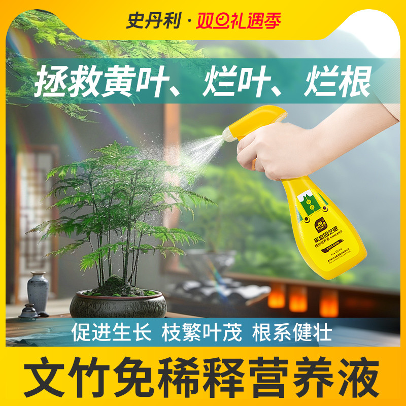 文竹专用肥料告别黄叶