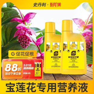 史丹利宝莲灯专用肥营养液花肥黄叶掉叶黑斑家庭盆栽催花开花肥料