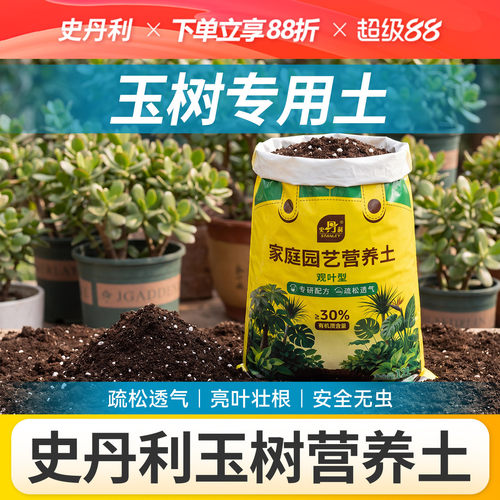 史丹利观叶植物营养土