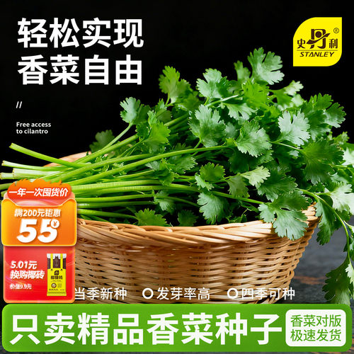 精选当季新种|发芽率高