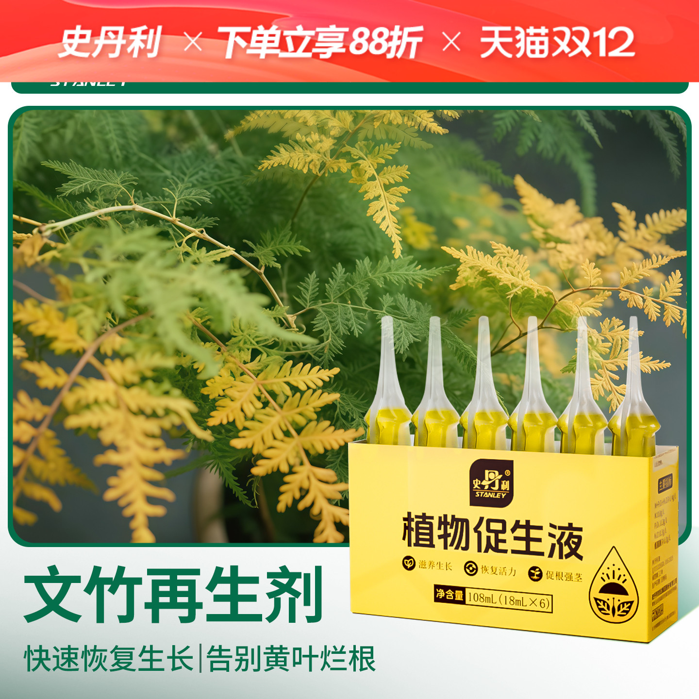 史丹利文竹专用肥植物营养液