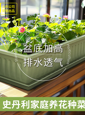 史丹利花盆阳台种菜盆蔬菜种植盆栽专用箱长方形家用塑料庭院种花