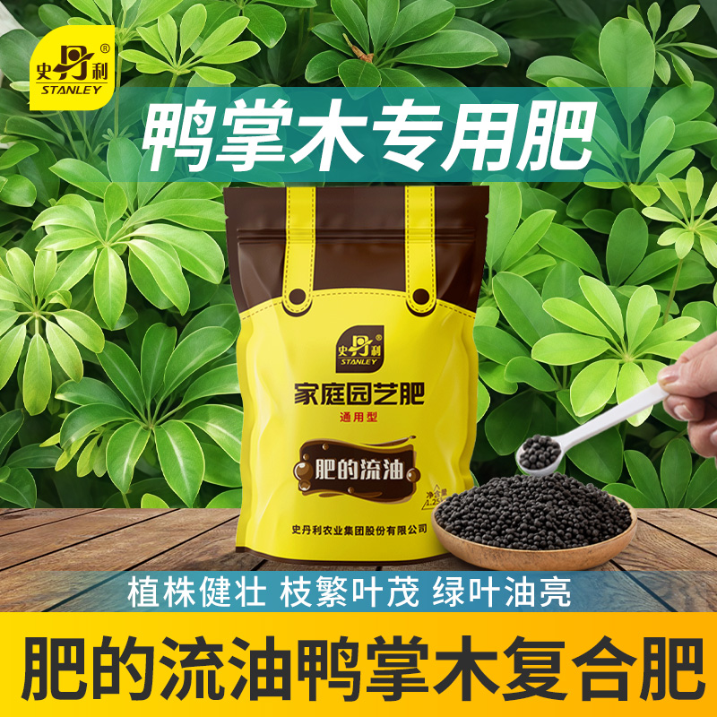 养分含量更高  多元营养成分  可水溶易吸收