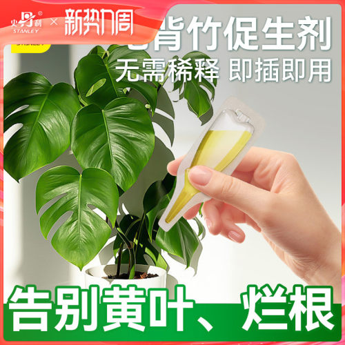 史丹利龟背竹专用肥营养液