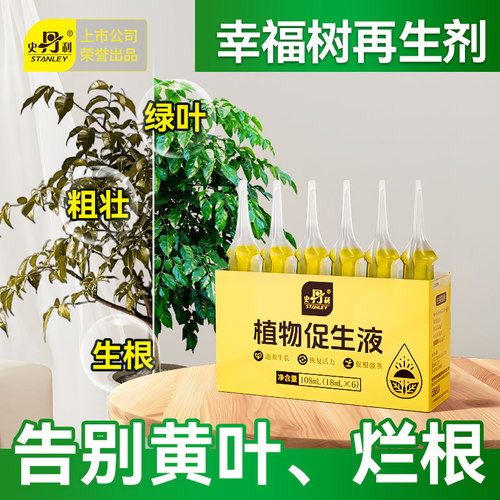 史丹利幸福树专用肥植物促生剂