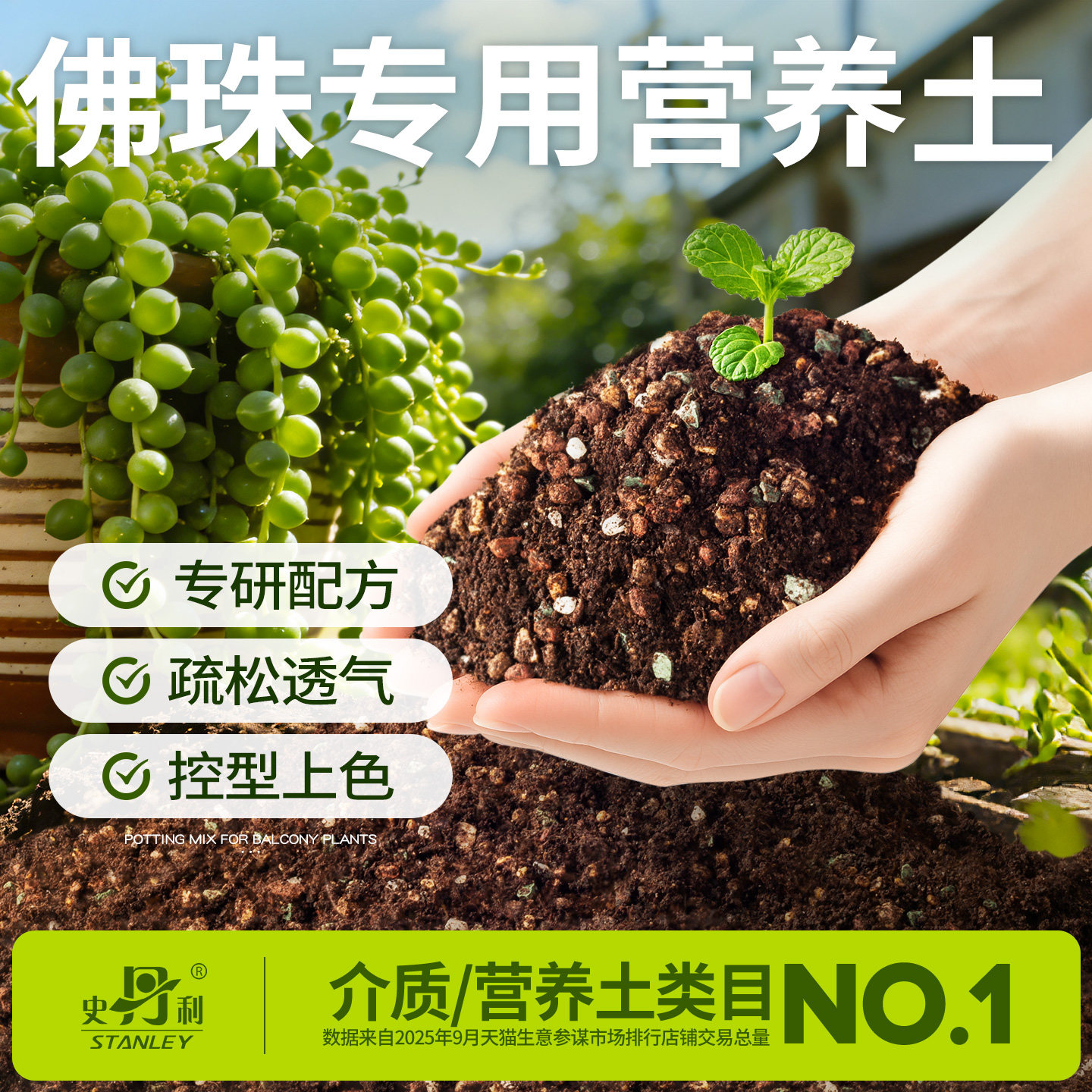 史丹利佛珠多肉土专用颗粒土营养土种植泥炭土盆栽叶插营养土土壤,鲜花速递/花卉仿真/绿植园艺,介质/营养土,淘宝优惠券,粉丝福利购,淘宝优惠卷