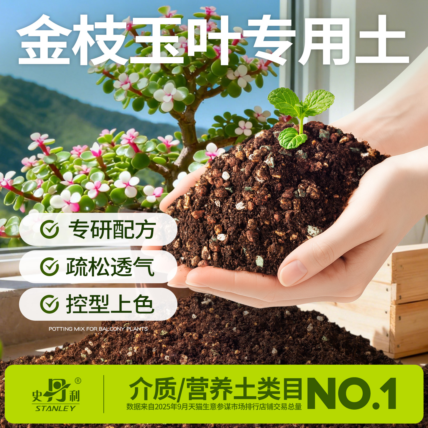 金枝玉叶颗粒土|告别烂根