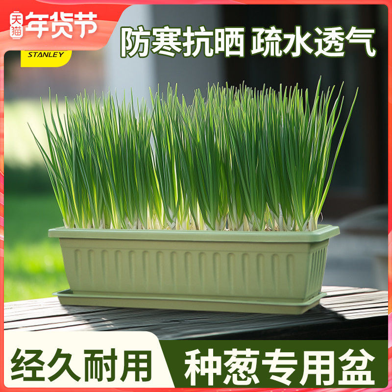史丹利阳台种葱专用神器长方形种菜盆窗台自吸水懒人种菜盆花盆,鲜花速递/花卉仿真/绿植园艺,花盆,淘宝优惠券,粉丝福利购,淘宝优惠卷