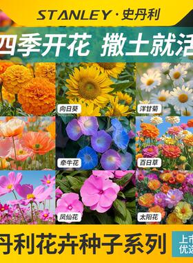 史丹利花种子四季开花大全向日葵花籽太阳花凤仙花虞美人室外易活