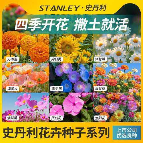史丹利四季开花家庭园艺种子系列