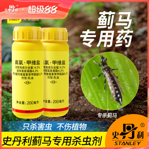 蓟马专用药|杀虫不伤花