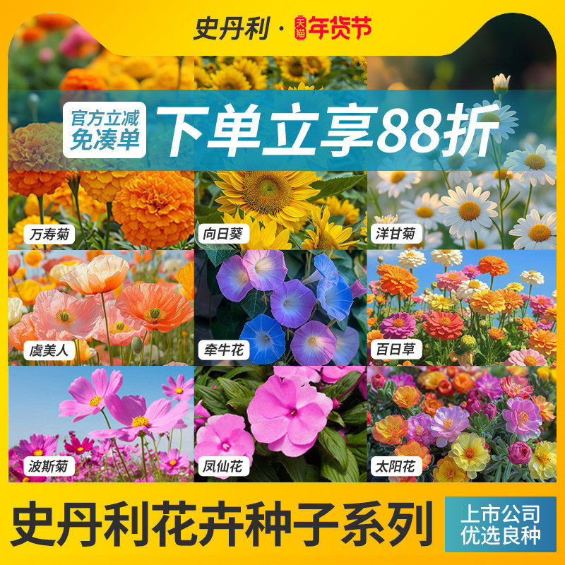 史丹利花种子四季开花大全向日葵花籽太阳花凤仙花虞美人室外易活