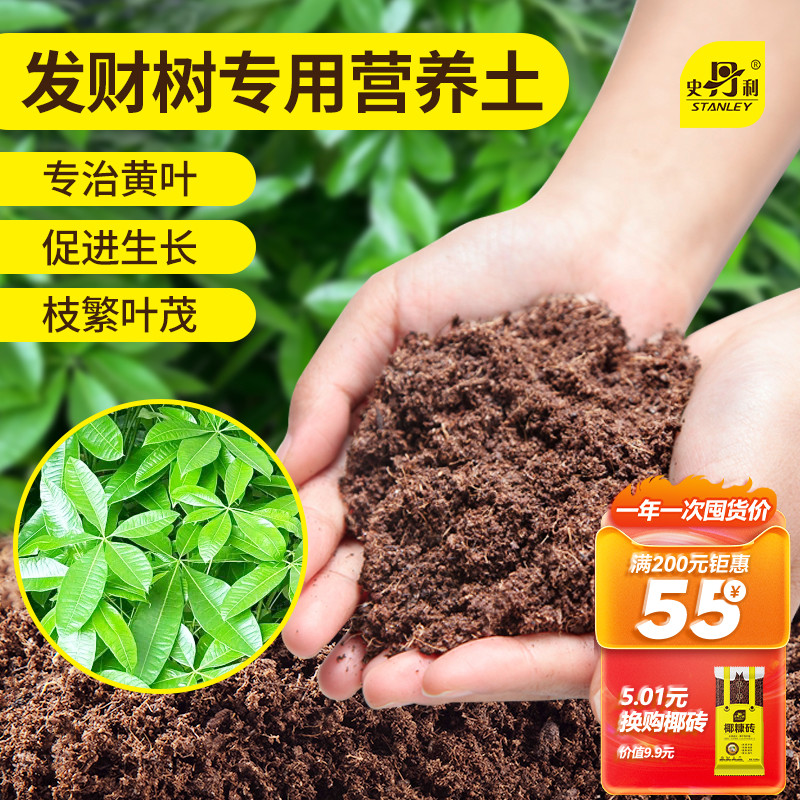 发财树专用土疏松透气