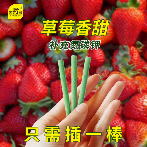 史丹利草莓专用肥水溶肥