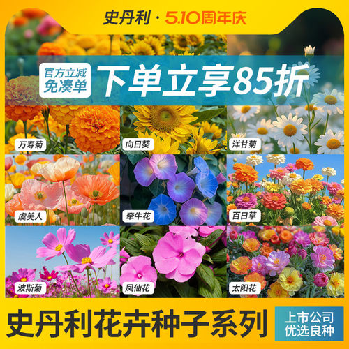 史丹利四季开花家庭园艺种子系列