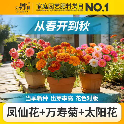 史丹利四季开花家庭园艺种子系列