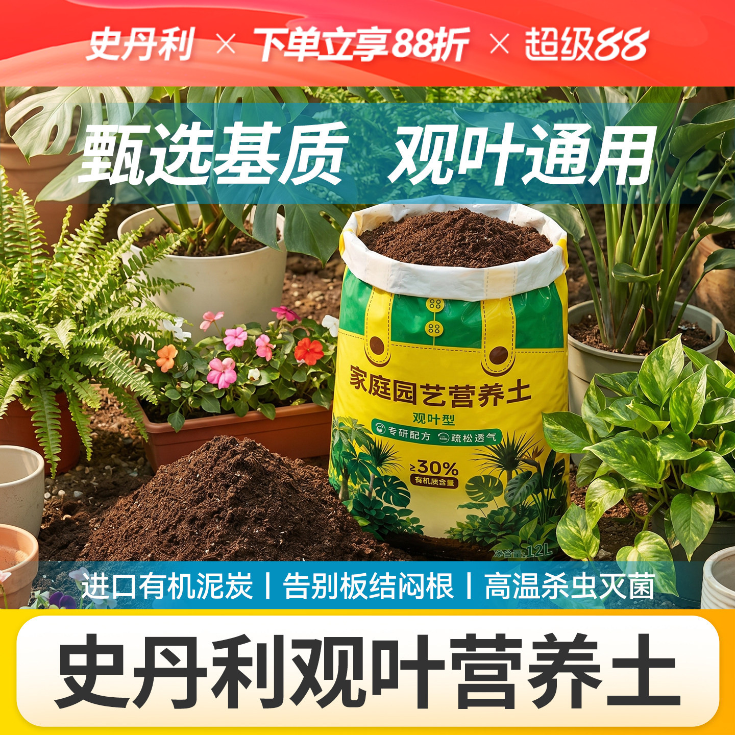 史丹利观叶植物营养土图片