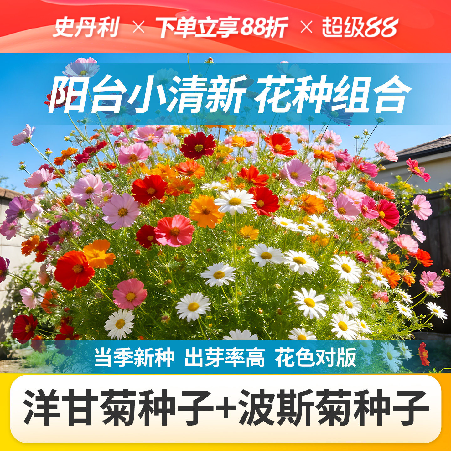 史丹利四季开花家庭园艺种子系列图片