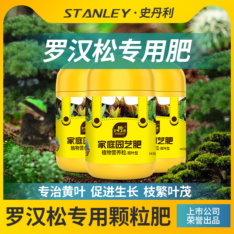 罗汉松专用肥告别黄叶
