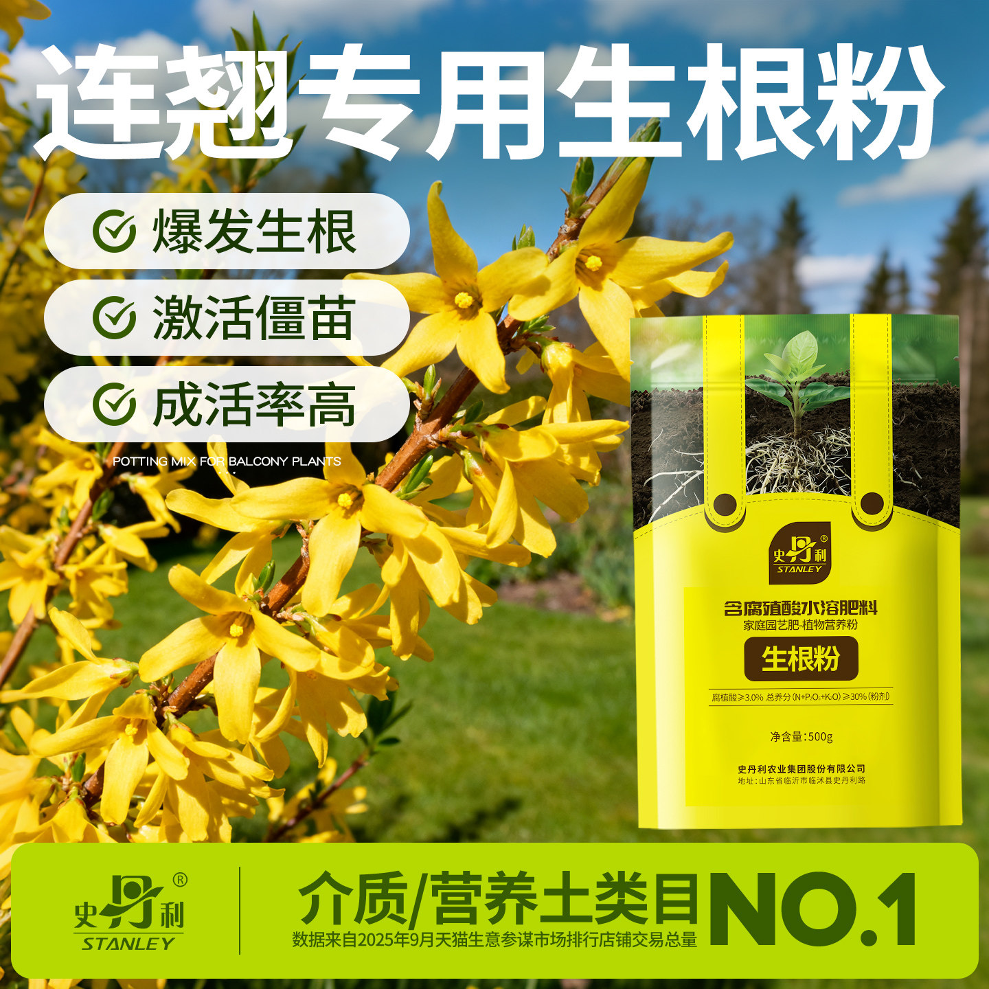 史丹利连翘专用生根粉快速生根