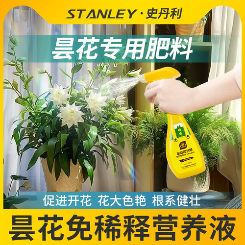 昙花专用肥料花开满盆
