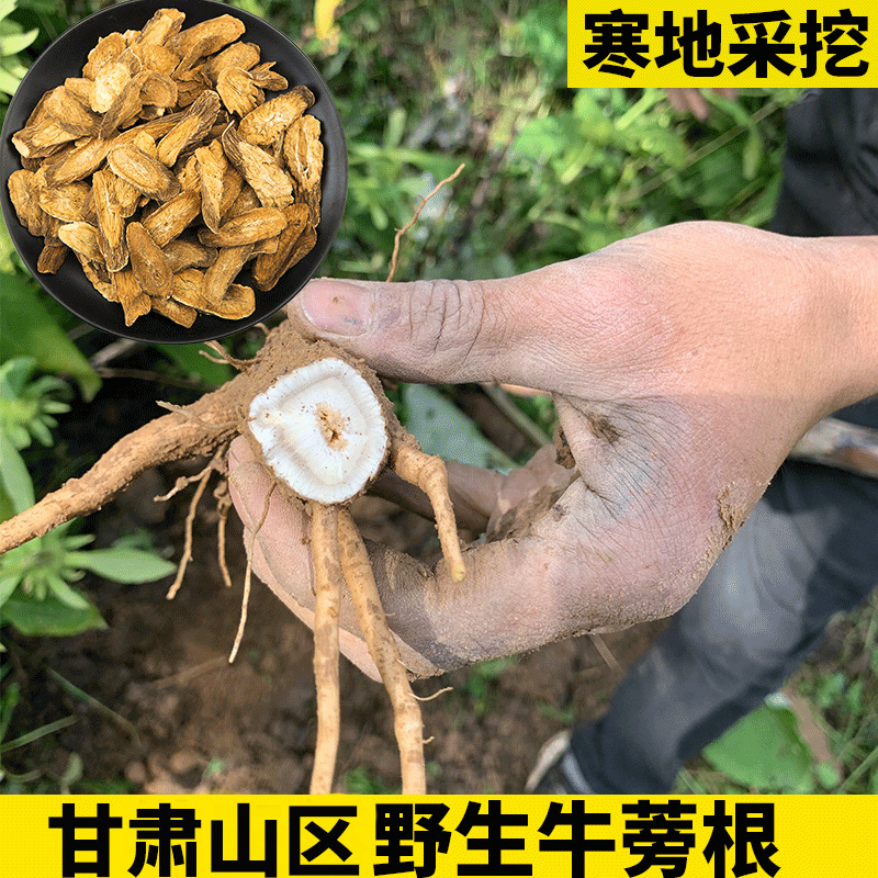 野生牛蒡根茶中药材500g黄金牛蒡茶正品牛旁子干片牛棒磅膀旗舰店