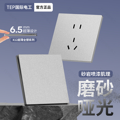 TEP国际电工超薄灰色磨砂控制面板86型家用暗装16a插座五孔带开关