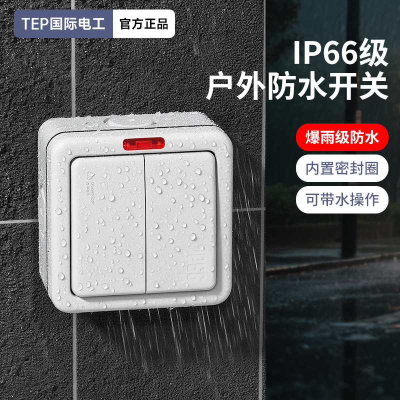 户外防水开关室外花园防雨单开双开双控按钮家用墙壁面板明装IP66