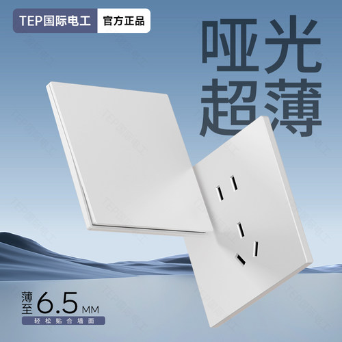 tep国际电工白色超薄网口面板家用墙面电脑网络双口六类网线插座