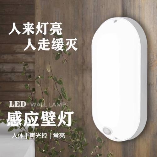 智能红外人体壁灯雷达声光控感应