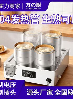 商用台式蒸包炉防干烧蒸锅早餐店电蒸炉二孔蒸包子机蒸饺摆摊餐车