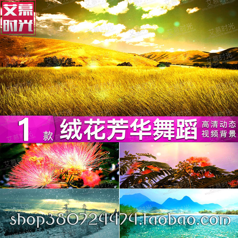现代舞蹈 绒花 芳华主题曲风景 晚会舞台 LED大屏幕视频背景素