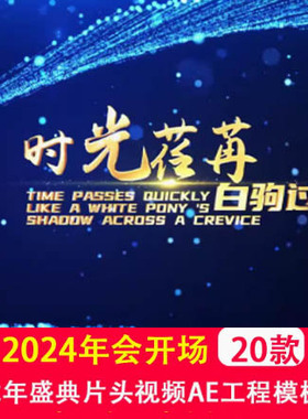 2025年蛇年公司年会开场视频企业年会片头颁奖盛典快闪AE工程模板